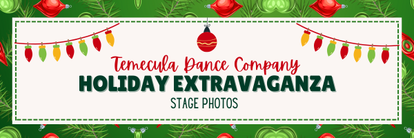 Holiday Show Google Header